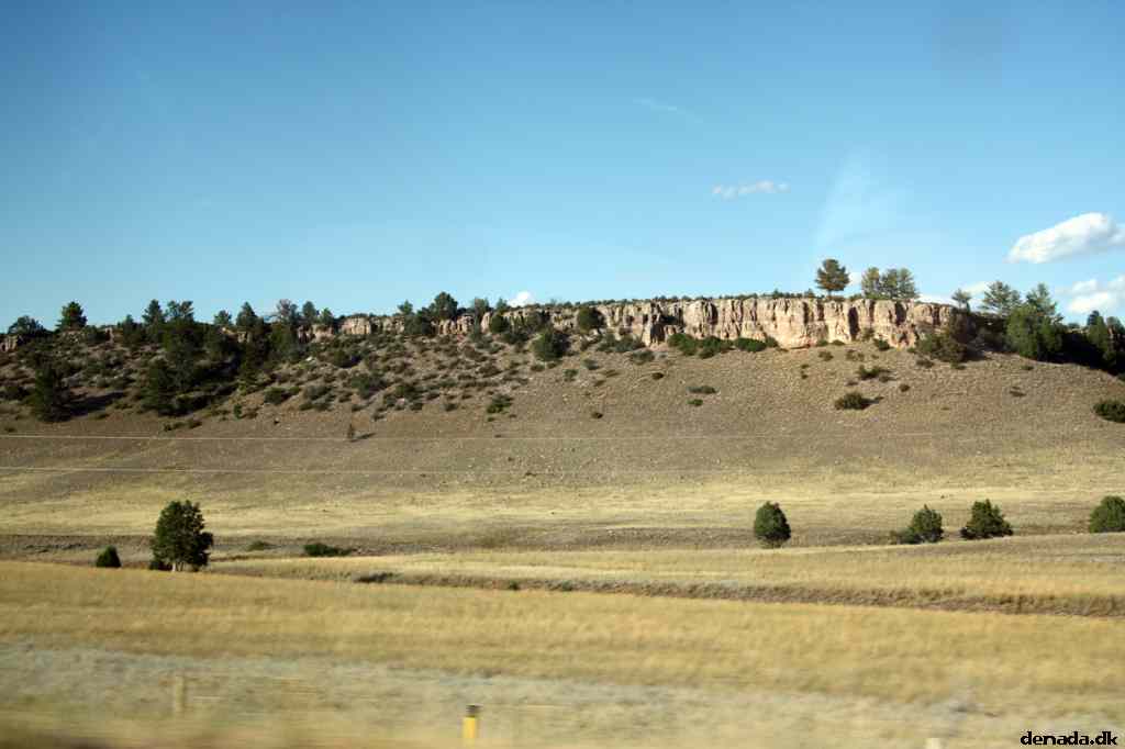 * Image 198