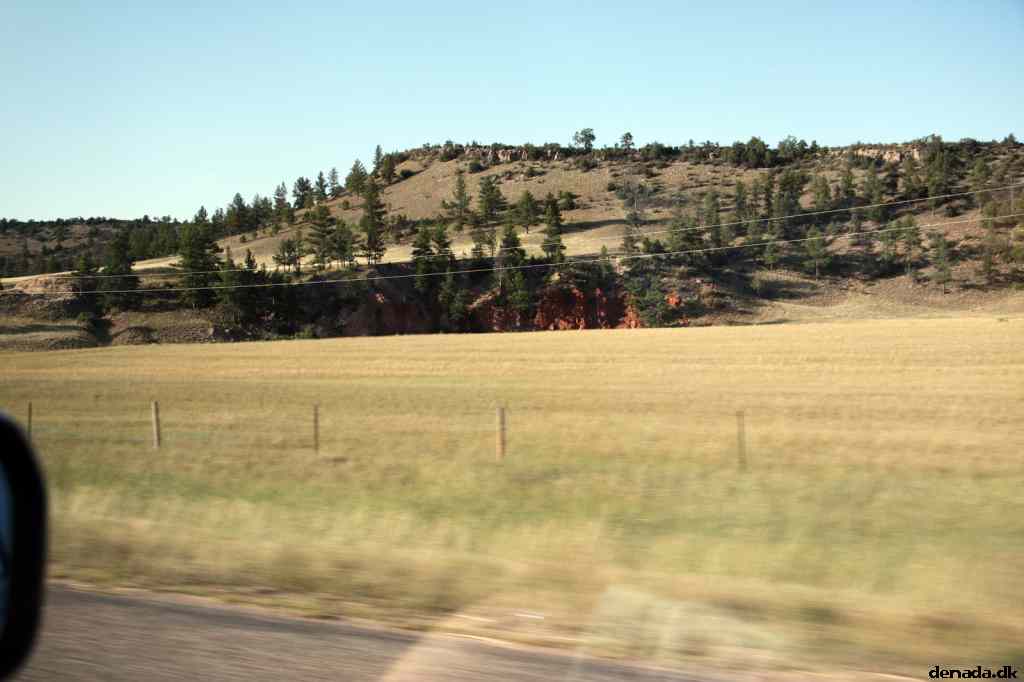 * Image 199