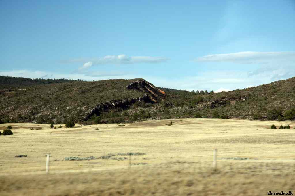 * Image 214