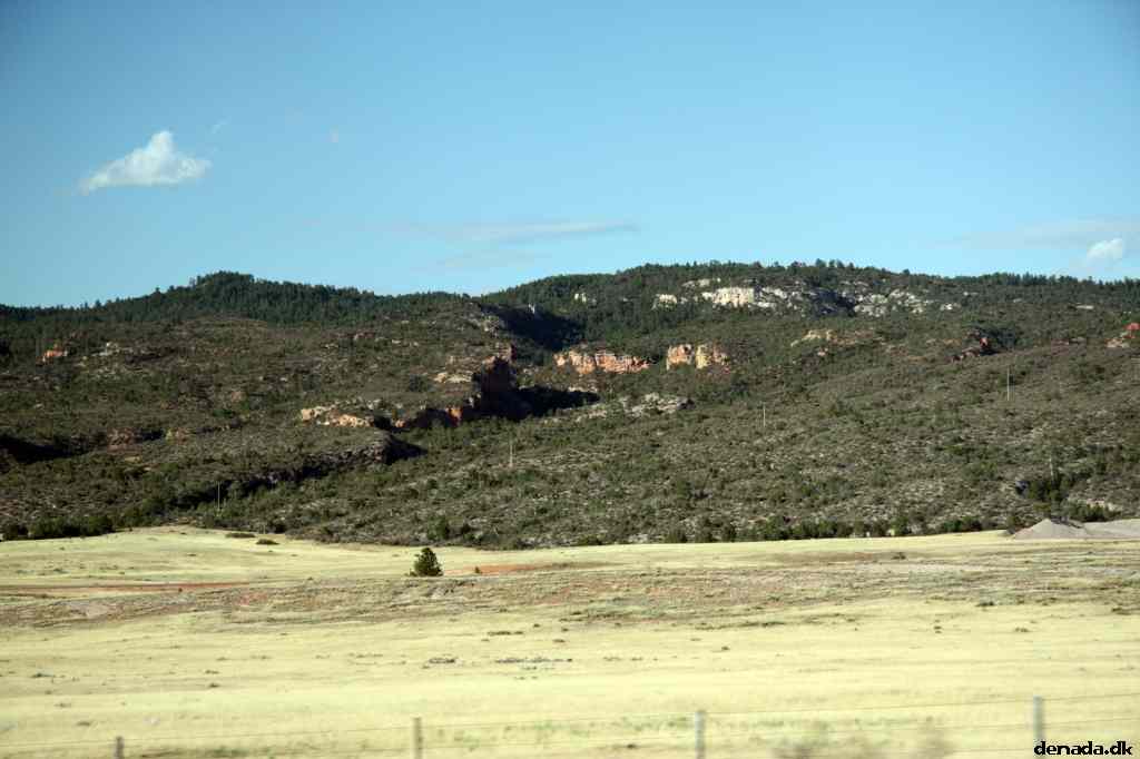 * Image 215