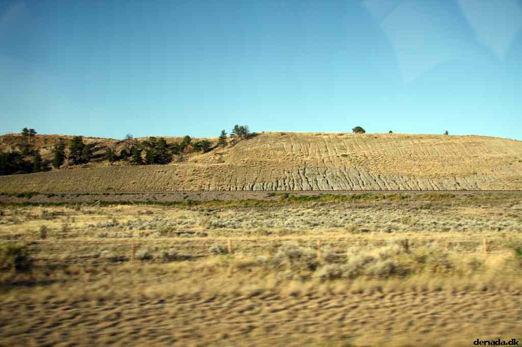* Image 224