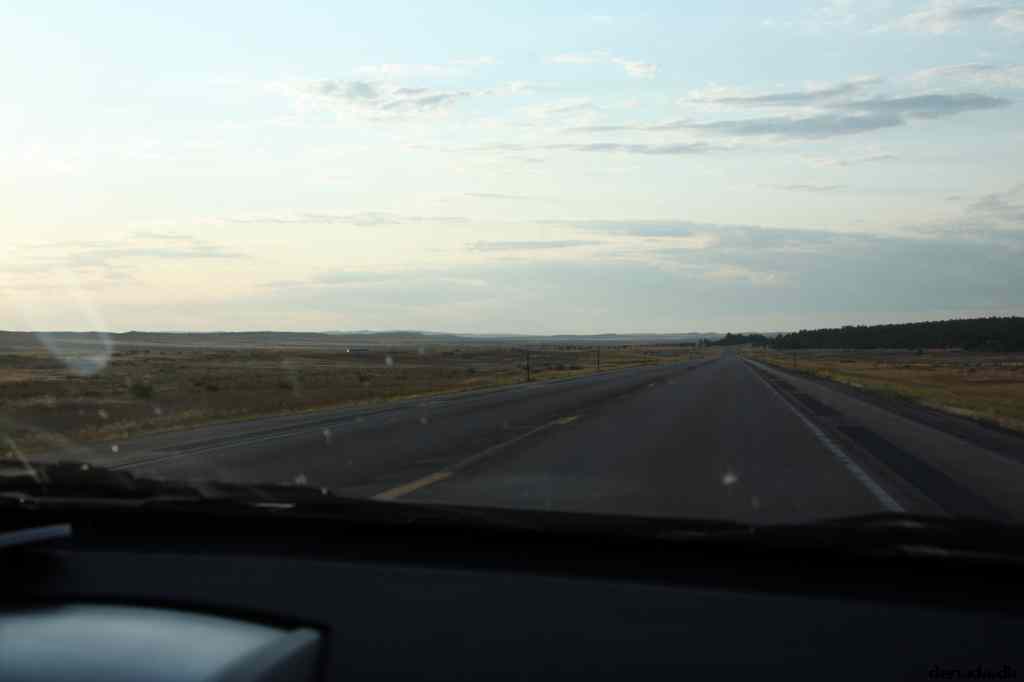 * Image 232