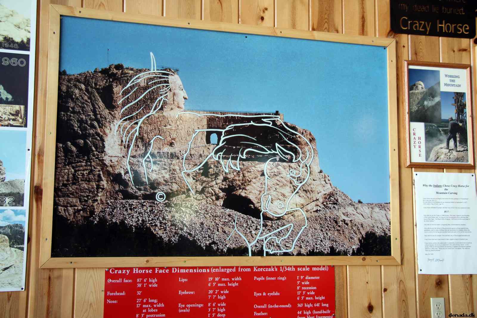 * Image 41