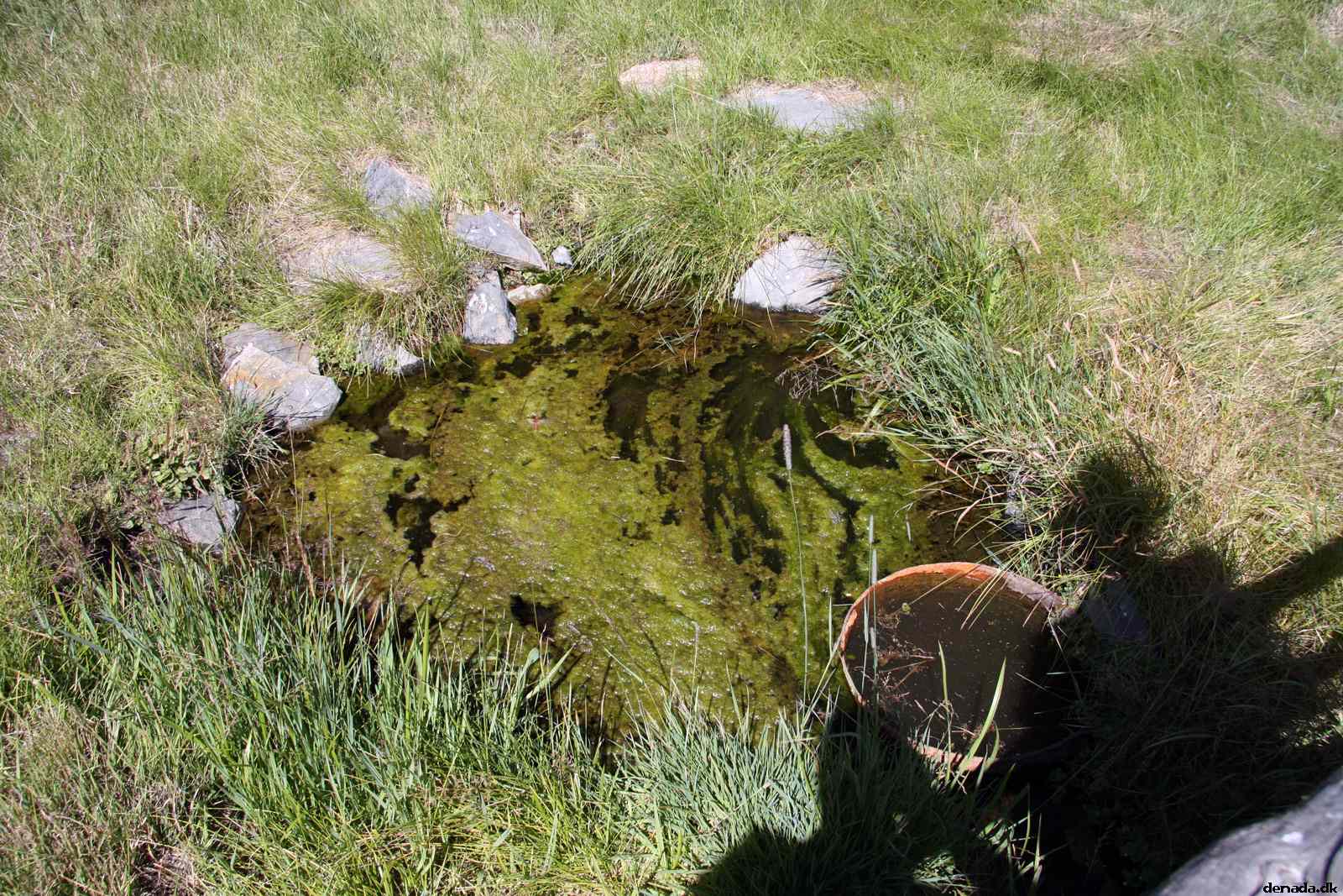 * Image 89