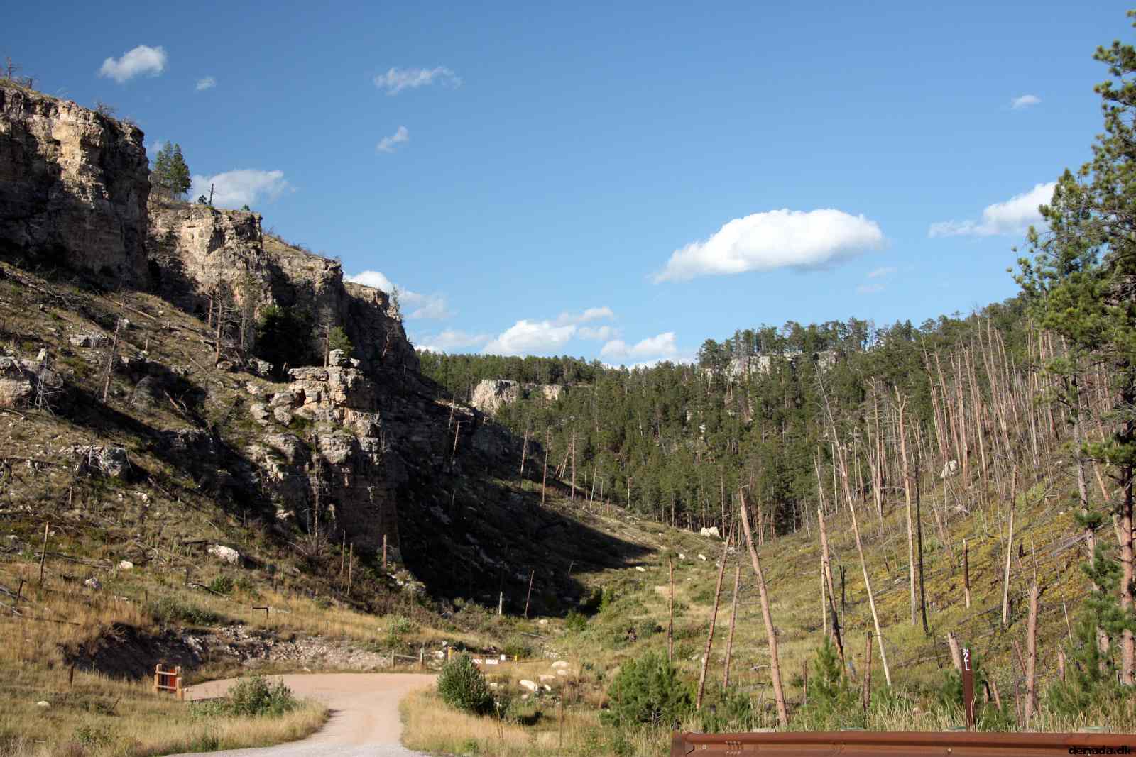* Image 180