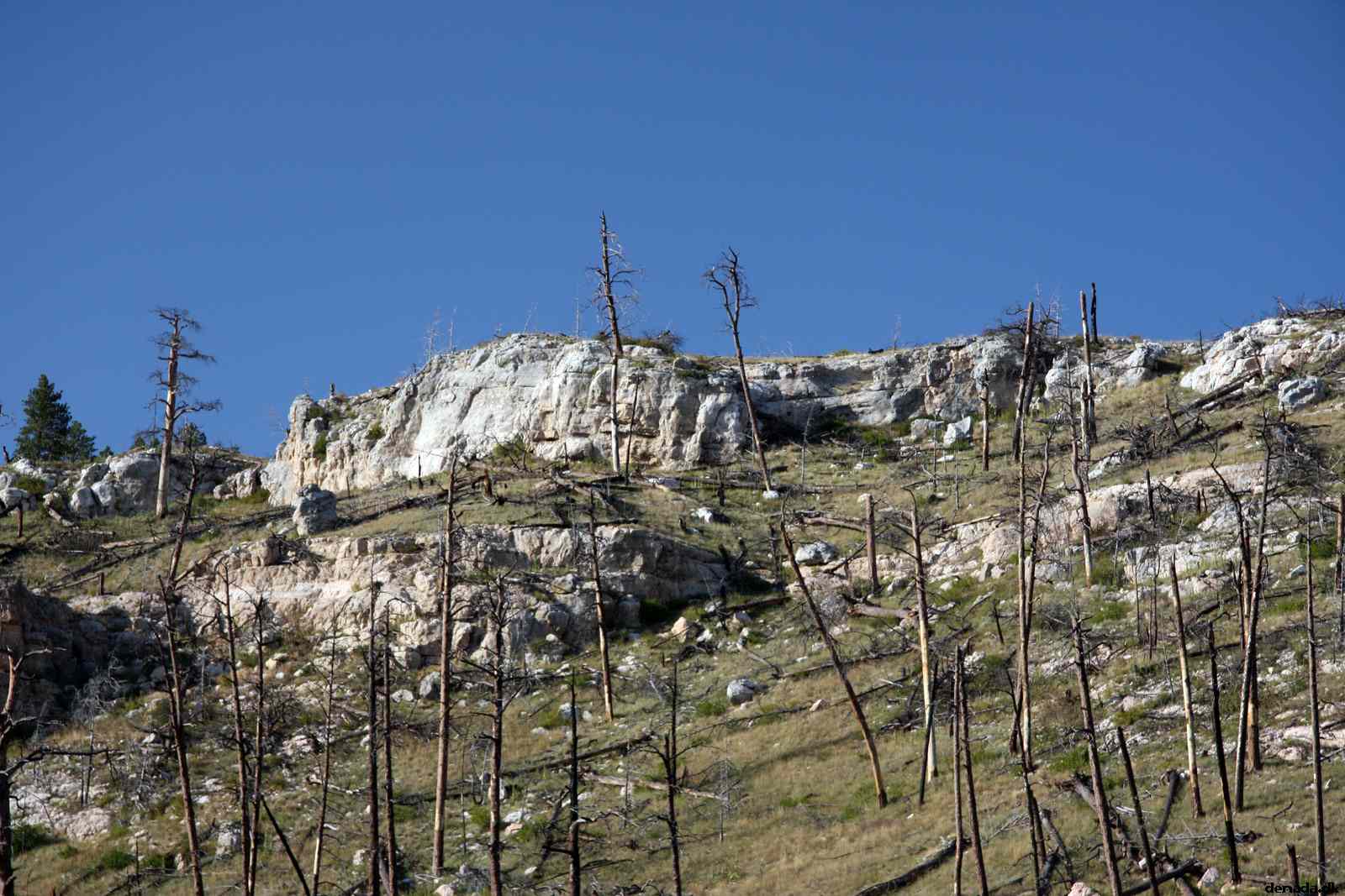 * Image 182