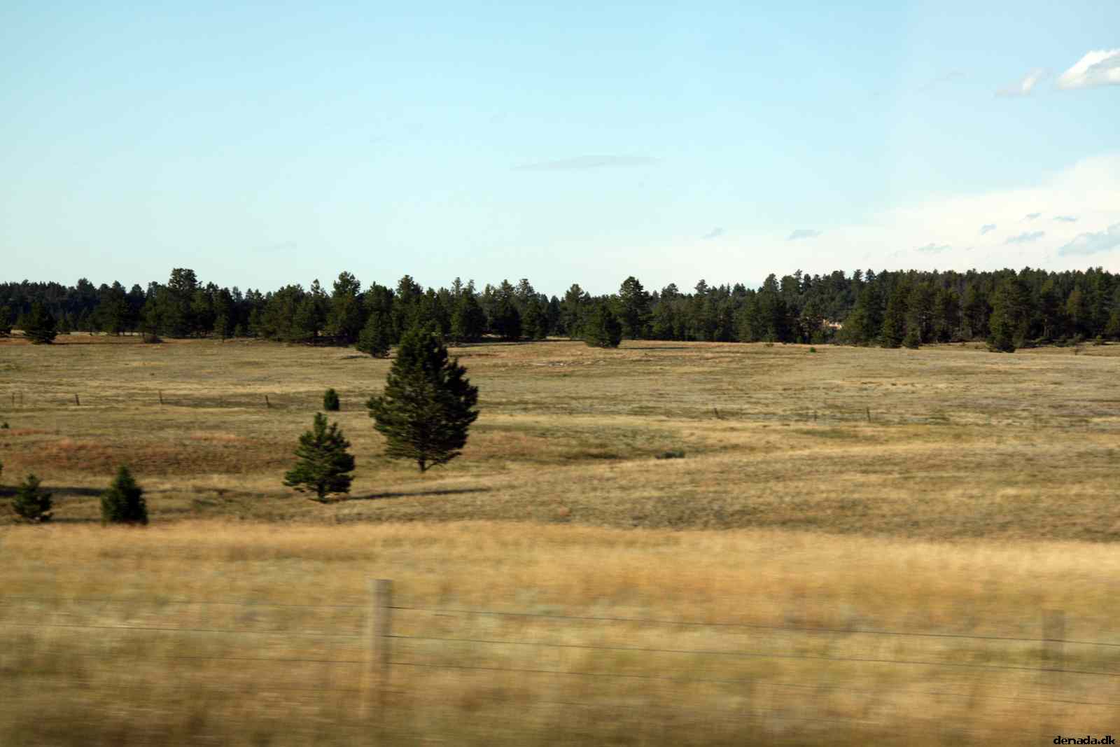 * Image 190