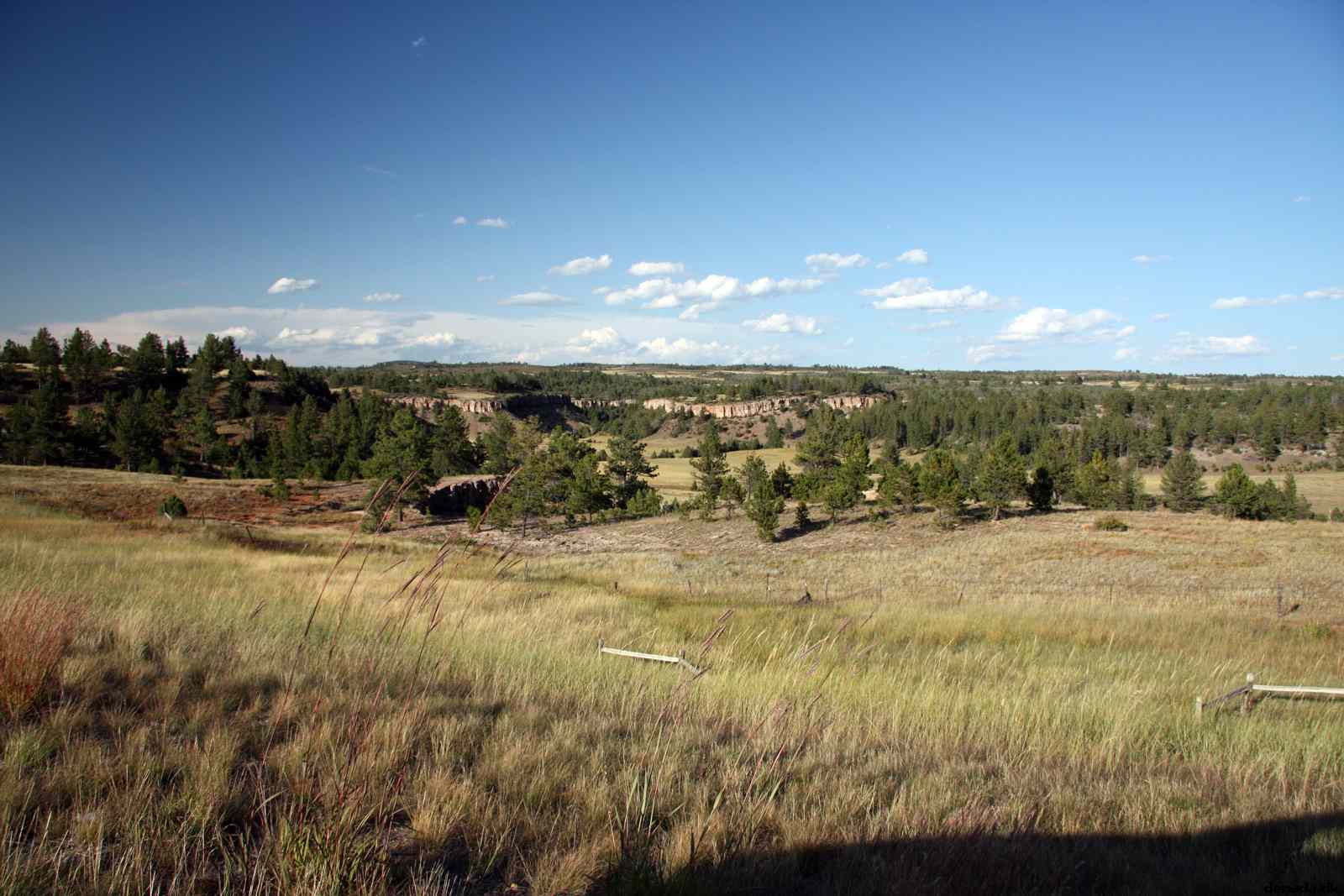 * Image 193