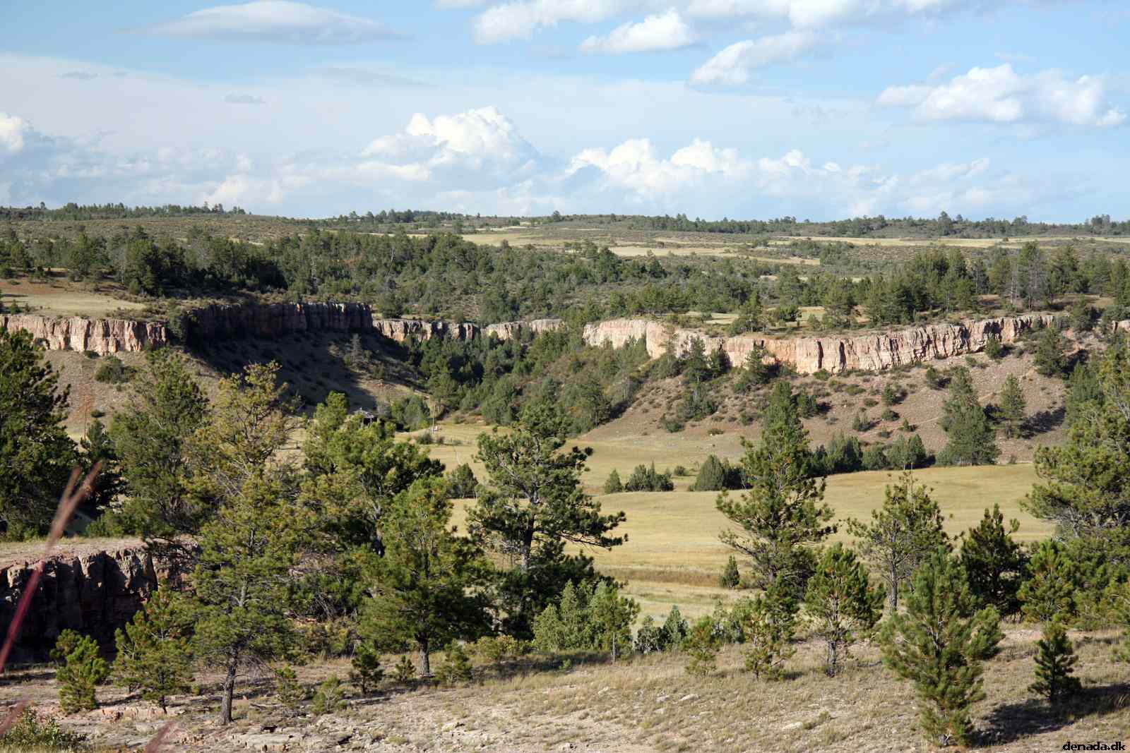 * Image 194