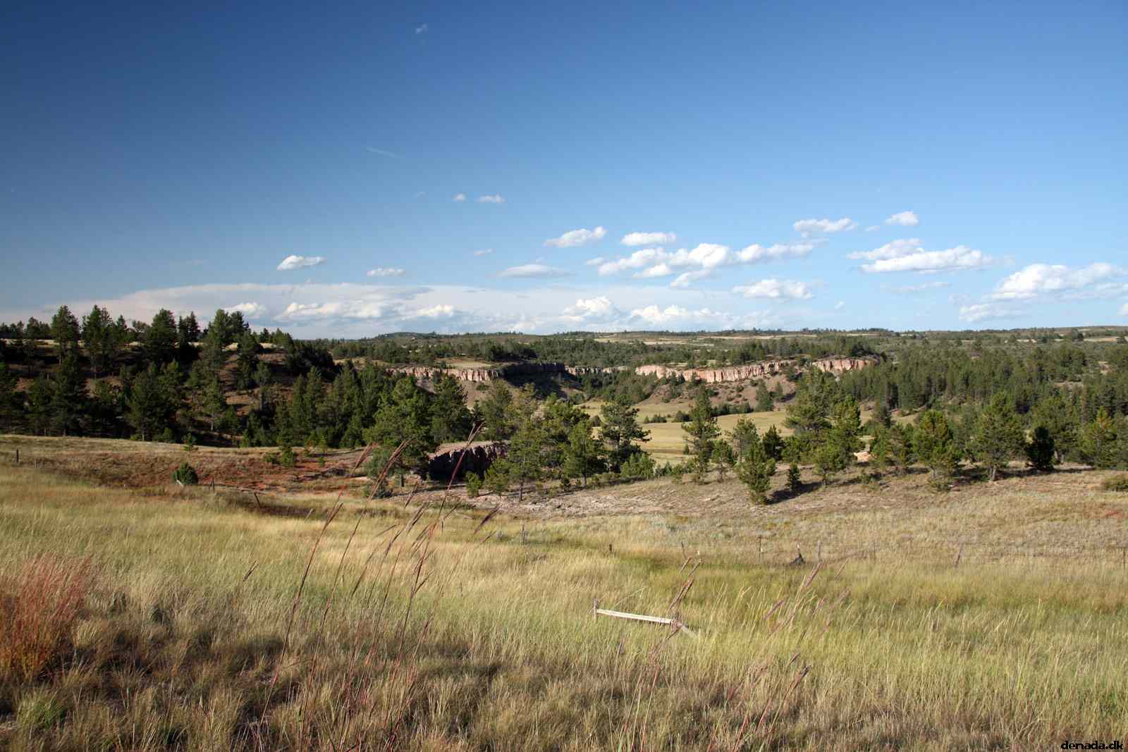 * Image 195
