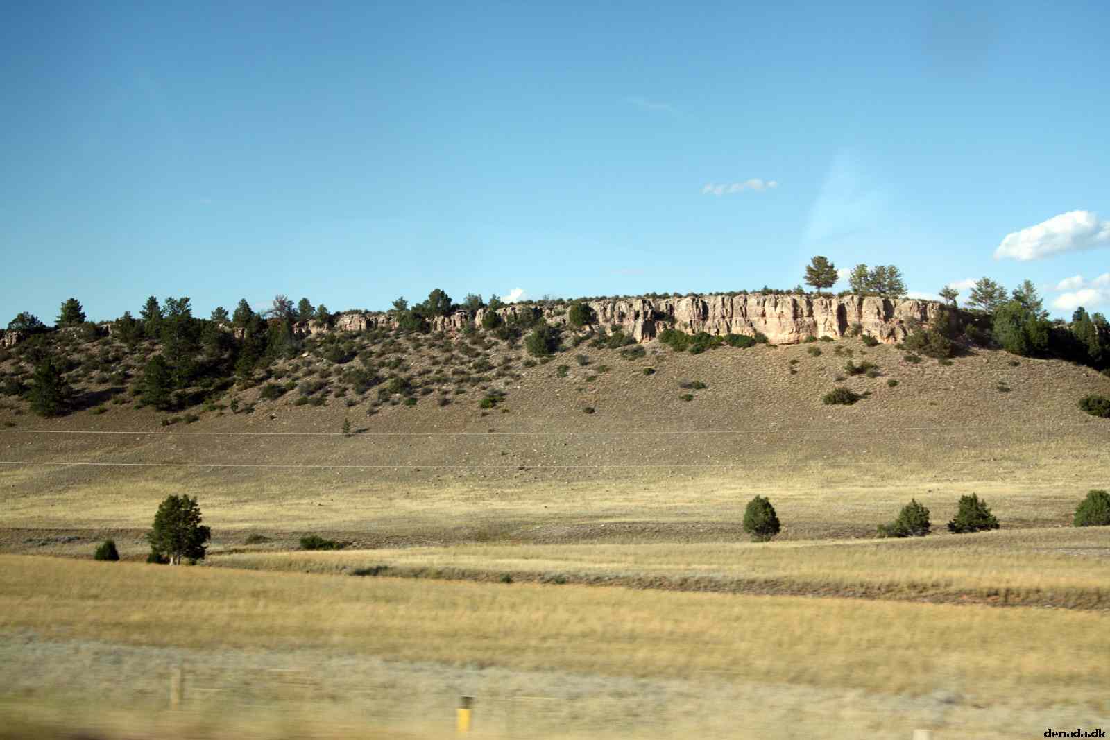 * Image 198