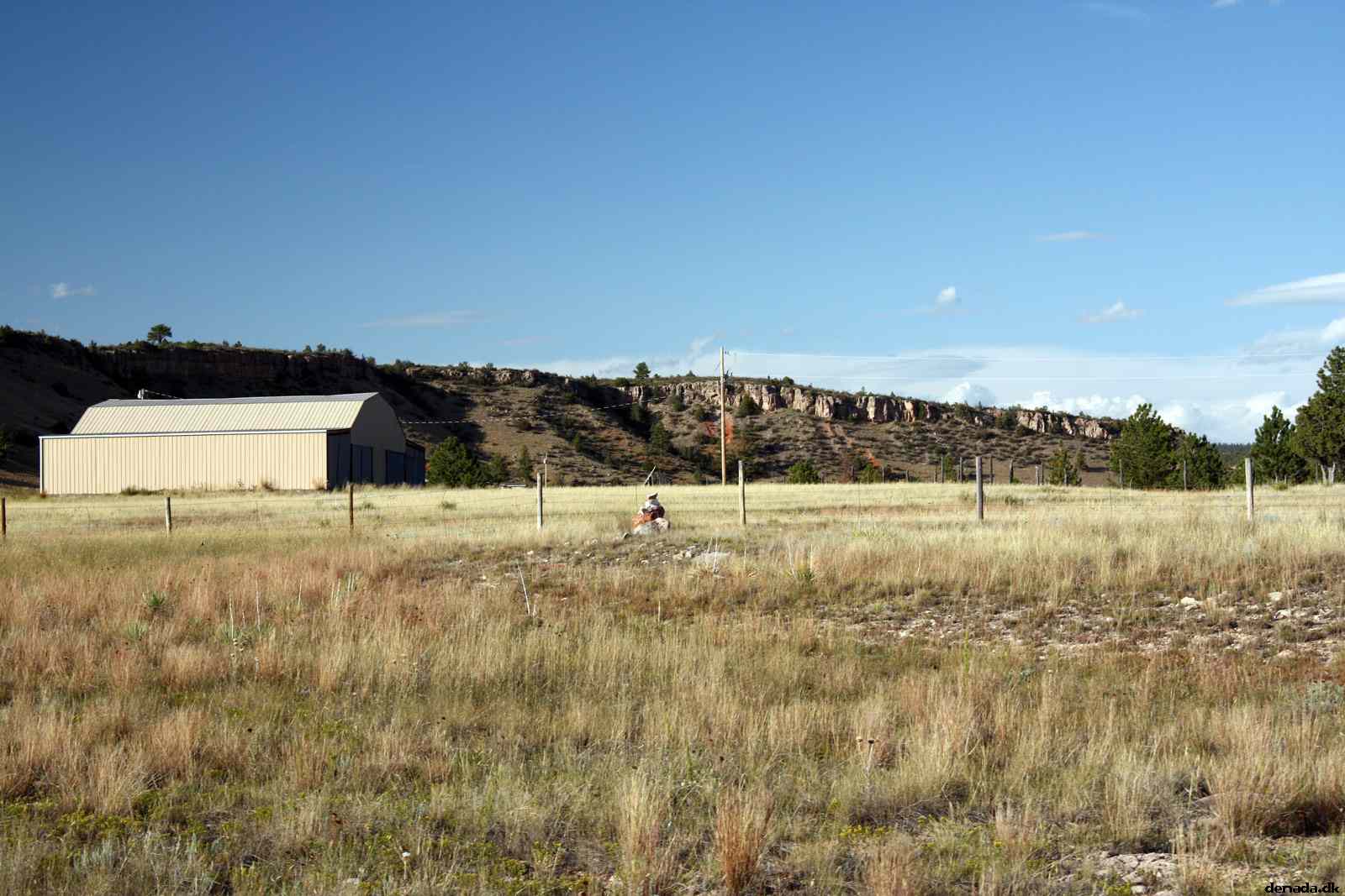 * Image 203