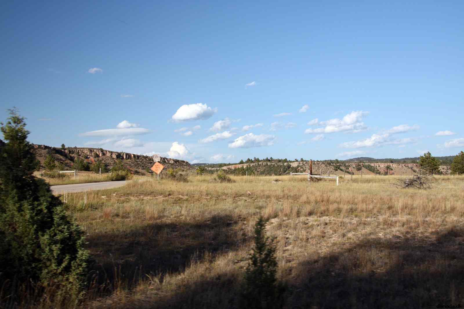 * Image 206