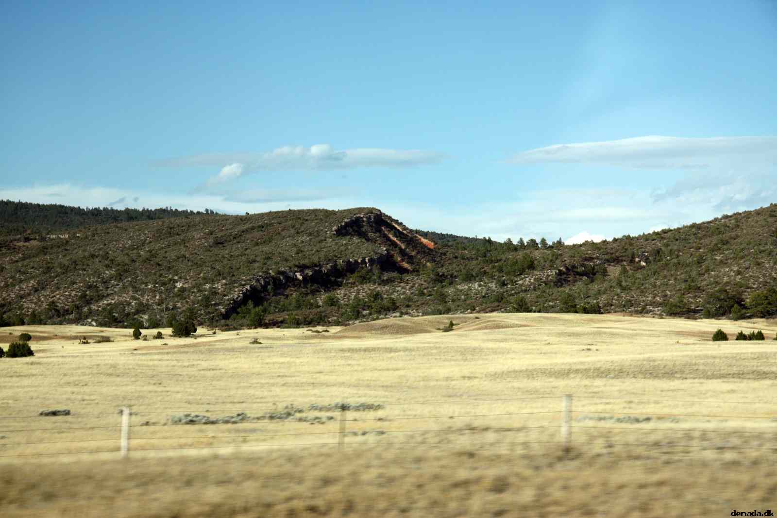 * Image 214