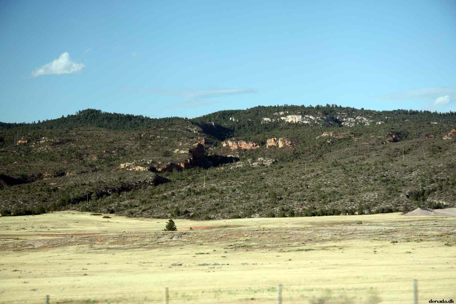 * Image 215