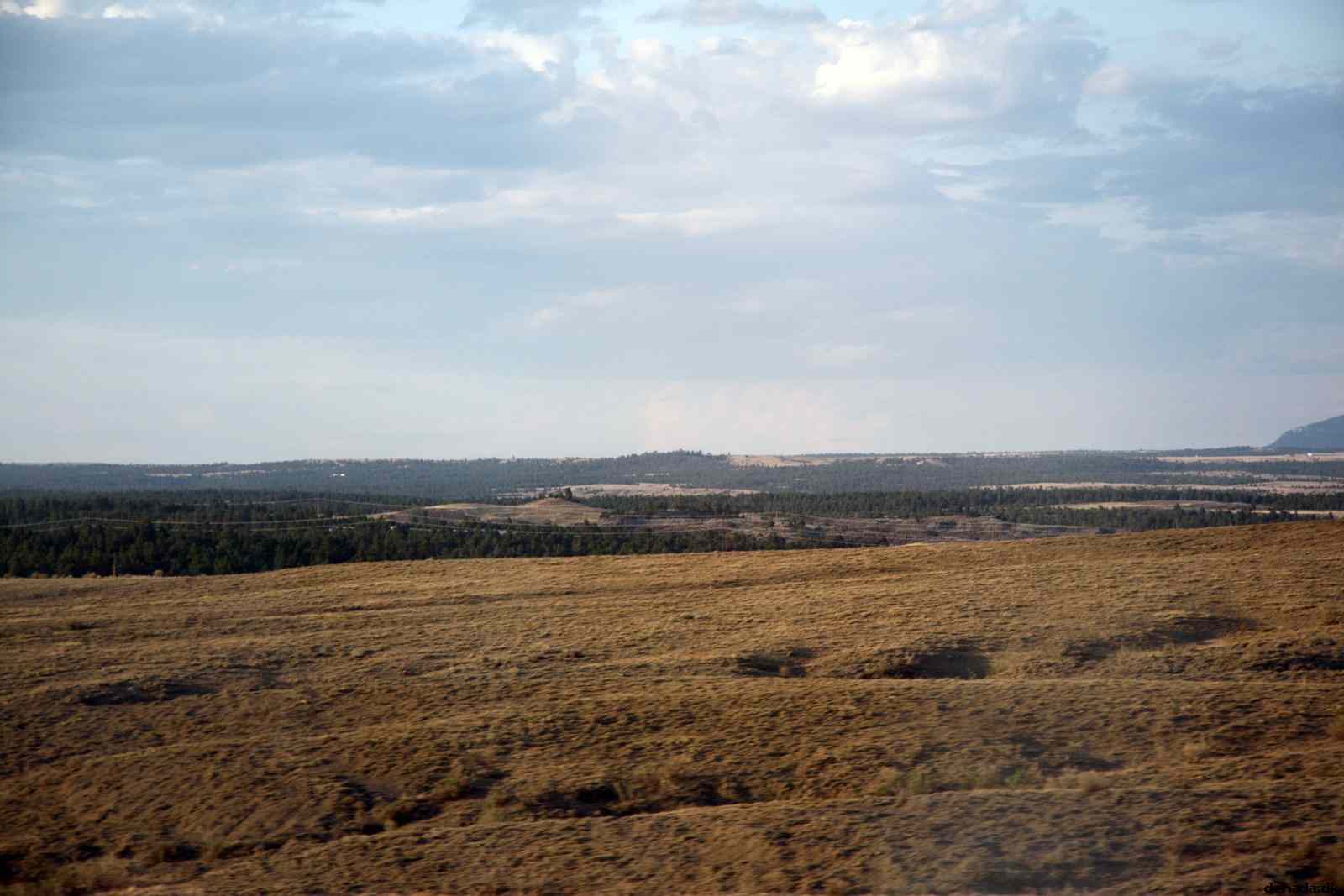 * Image 230
