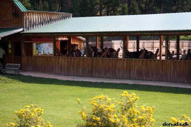 * Image 5