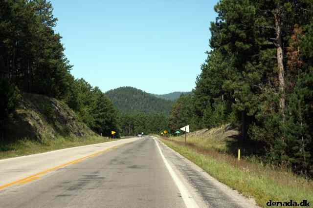 * Image 7