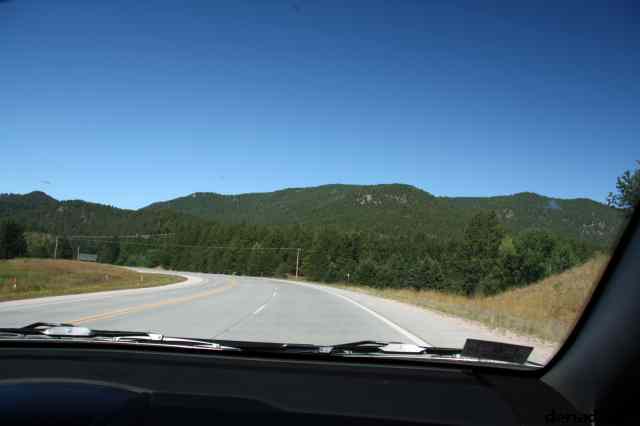 * Image 11