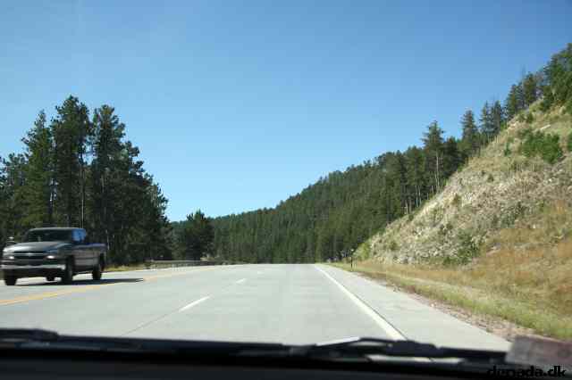 * Image 12