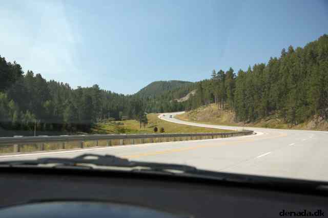* Image 13