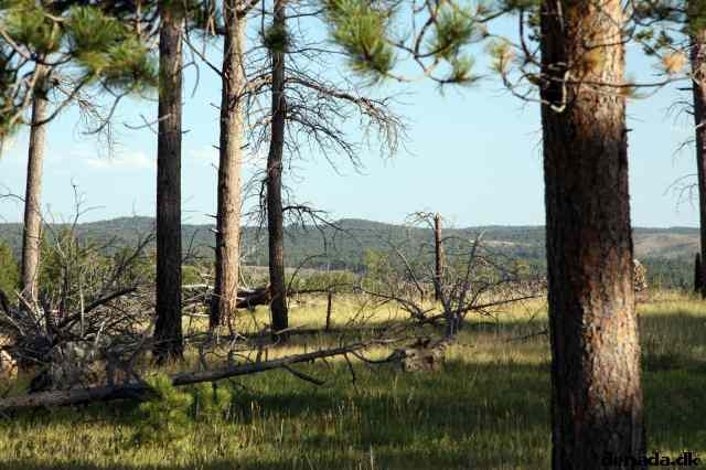 * Image 186