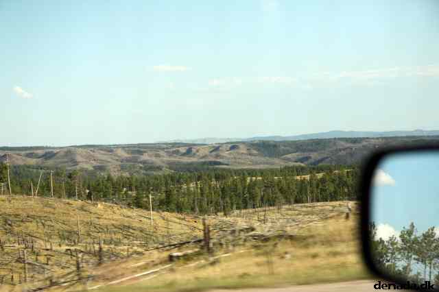 * Image 187