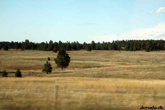 * Image 190
