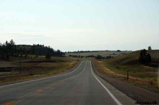 * Image 192
