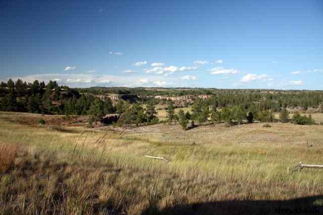 * Image 193