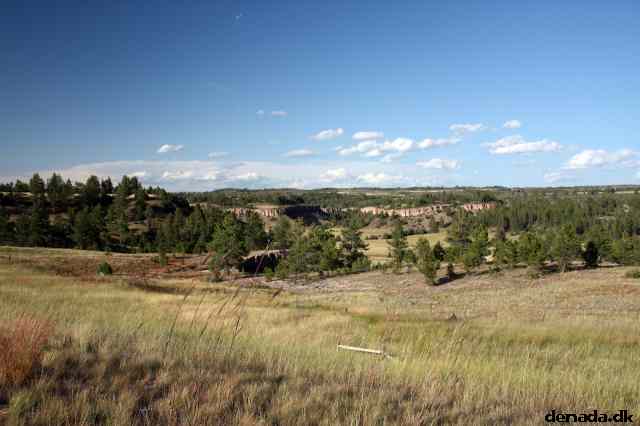 * Image 195