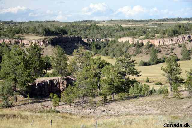* Image 197