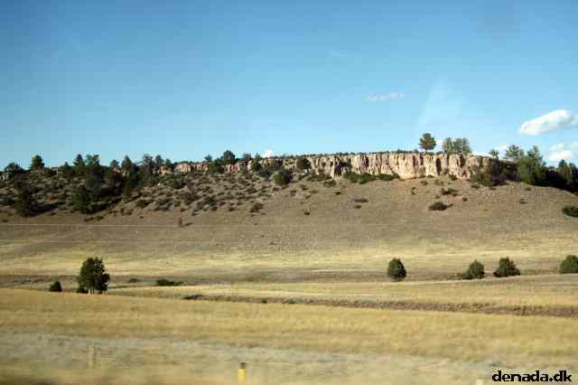 * Image 198