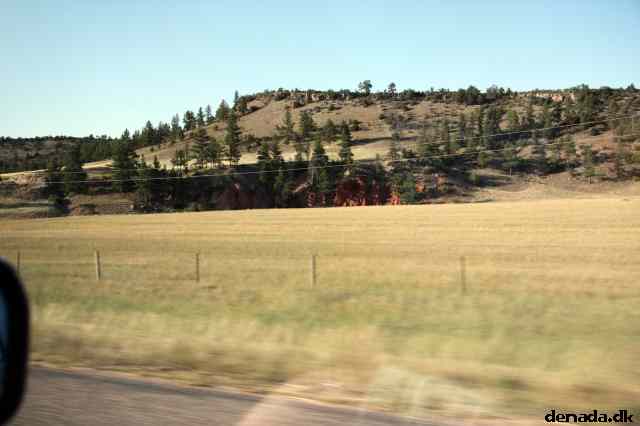 * Image 199