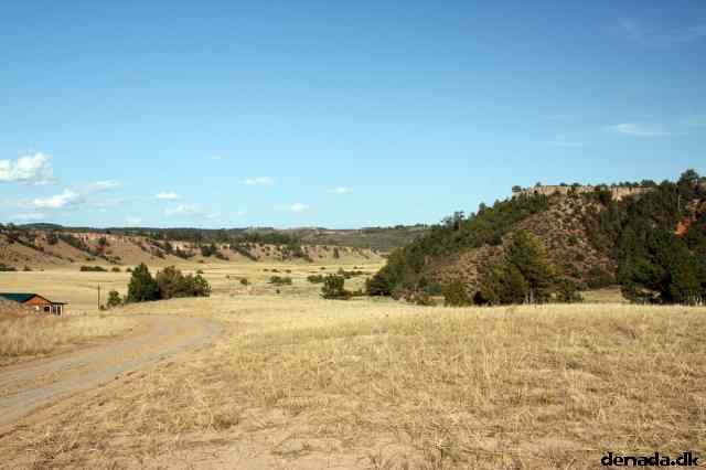 * Image 207