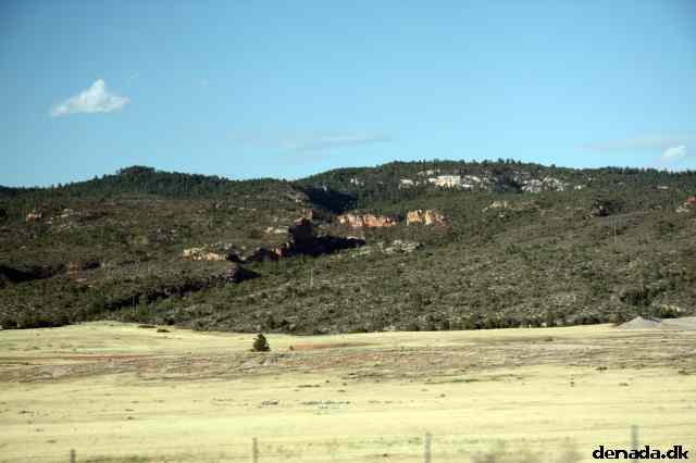 * Image 215