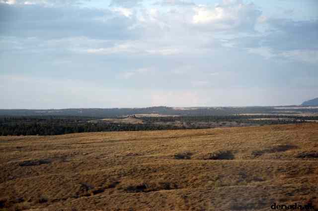 * Image 230