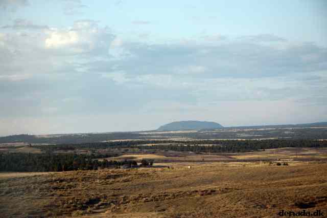 * Image 231