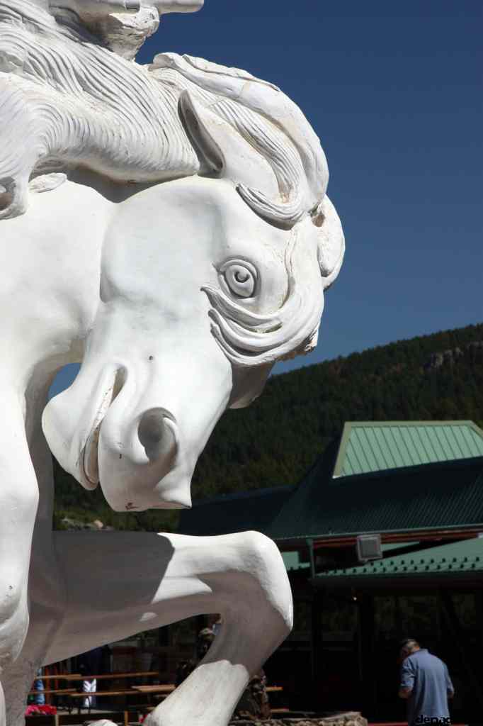 * Image 52