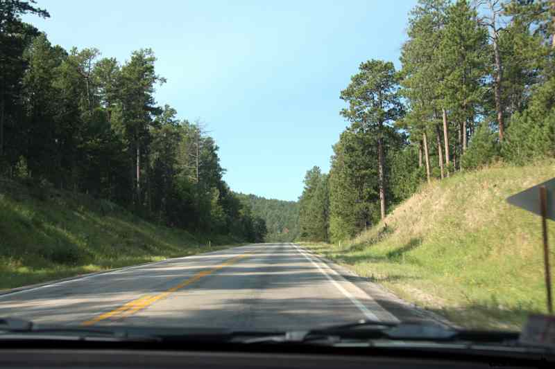 * Image 2