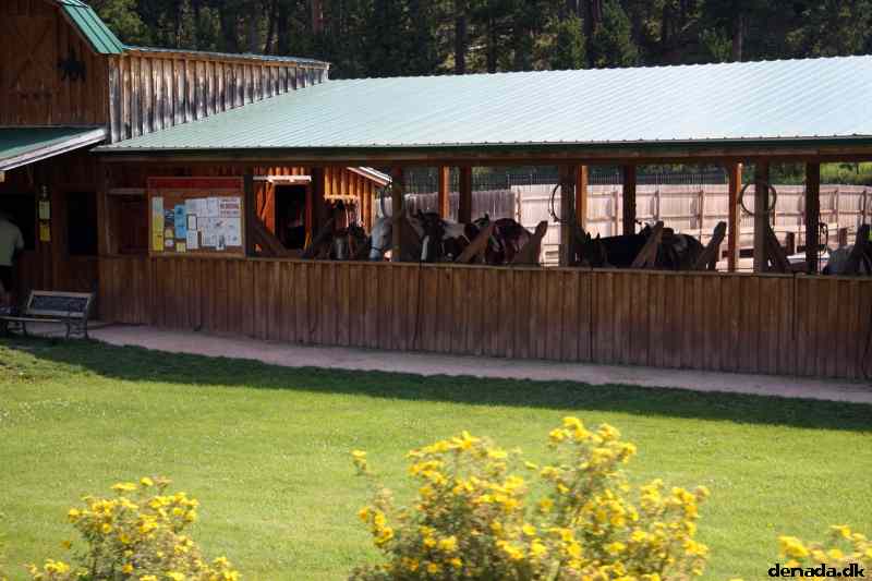 * Image 5