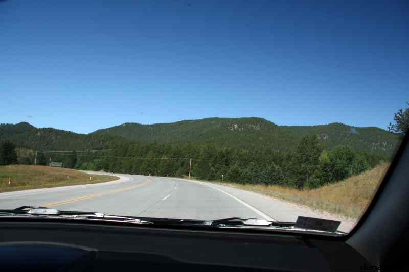 * Image 11