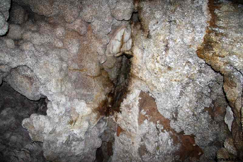 * Image 168