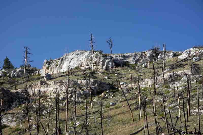 * Image 182