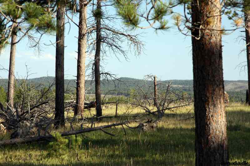 * Image 186