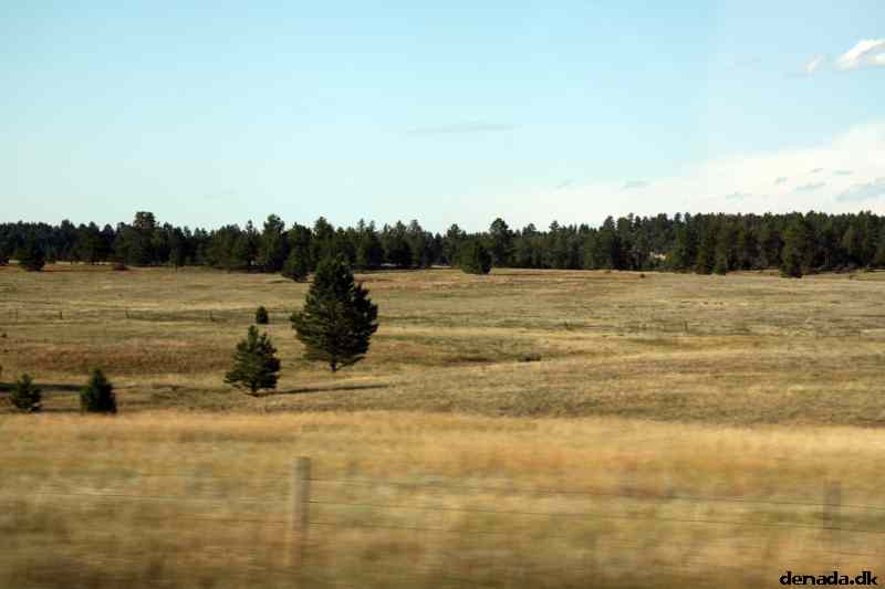 * Image 190