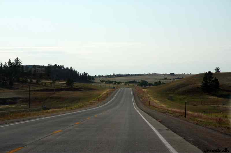 * Image 192