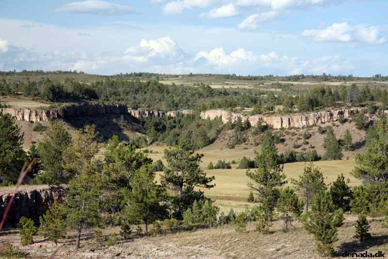 * Image 194