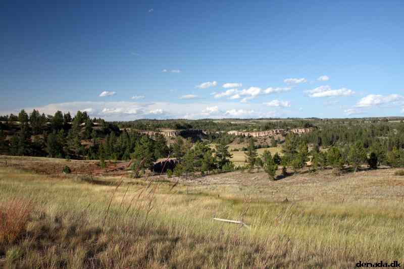 * Image 195