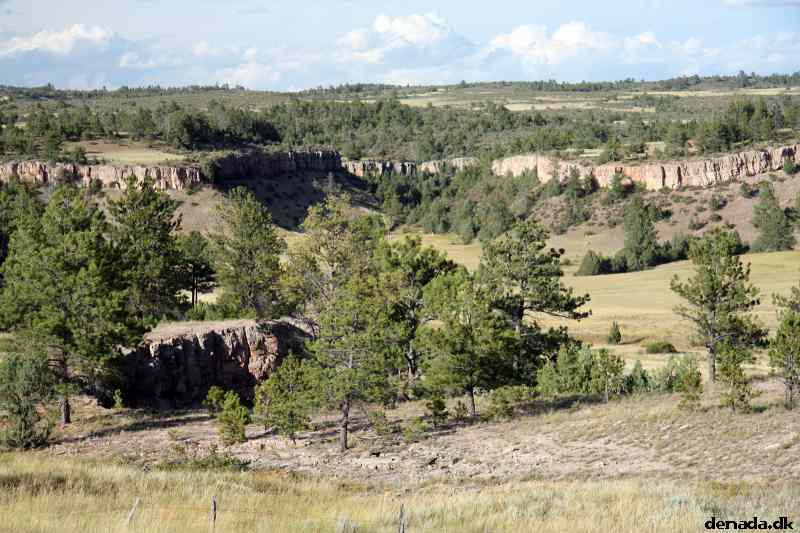* Image 197